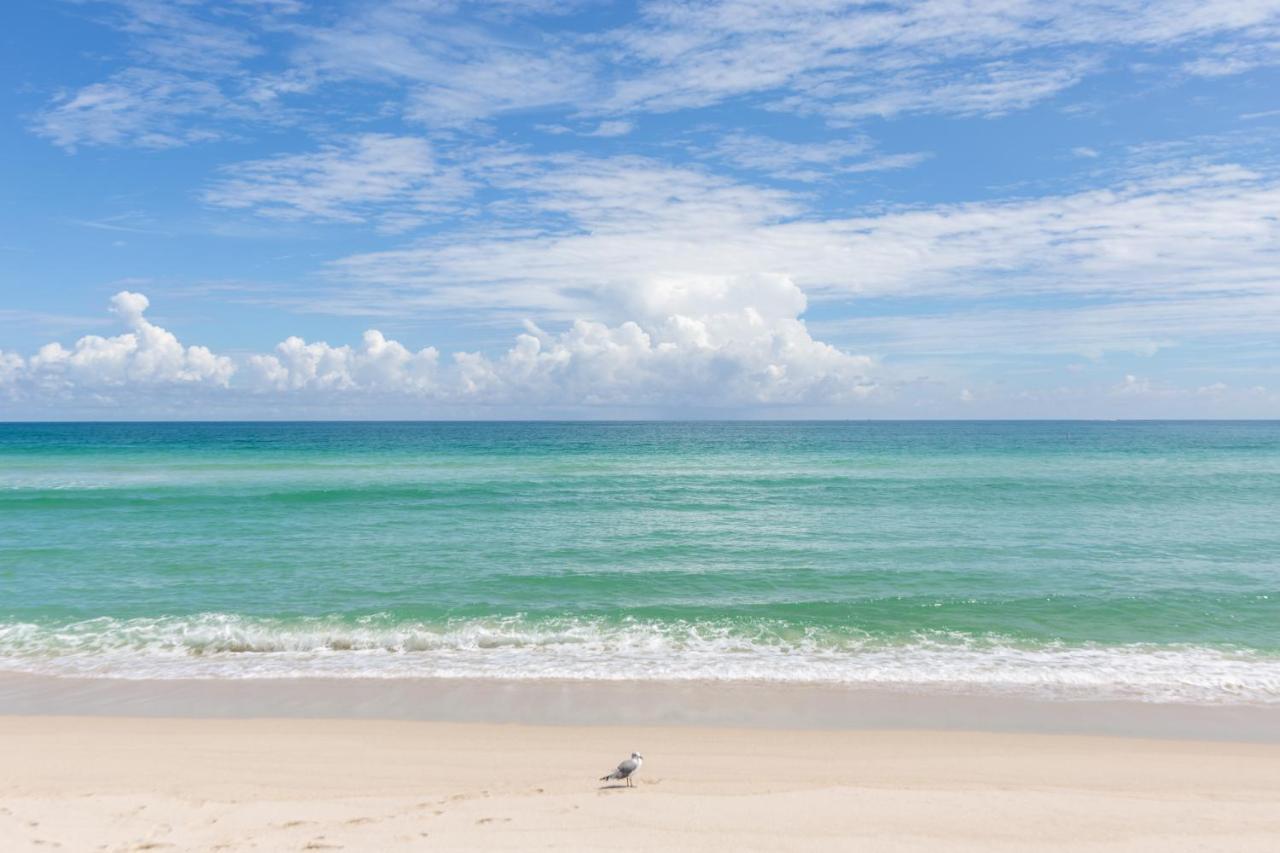 Girasole Rentals Miami Beach Eksteriør billede